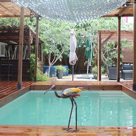Les 2 Droles D'Oiseaux Bed & Breakfast Luc-sur-Orbieu ภายนอก รูปภาพ